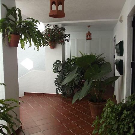 Apartamento En Conil Конил-де-ла-Фронтера Екстериор снимка